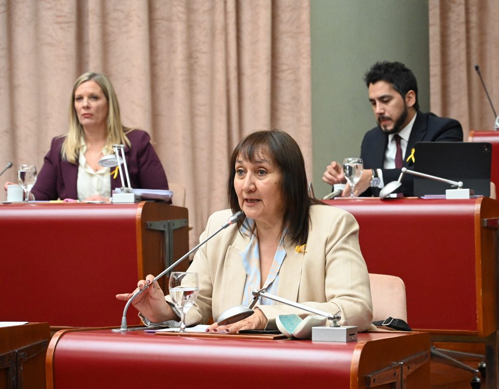 Diputada Norma Arbilla (Arriba Chubut)